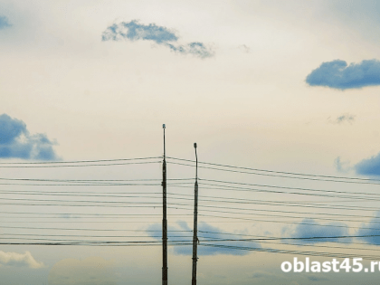 В Кургане отключат свет для устранения дефекта и подрезки деревьев