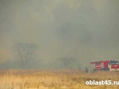В Курганской области ликвидировали пожар