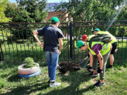 В библиотеках Кургана пройдут две смены акции «Я люблю Курган! – трудовые отряды»