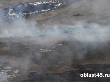 В Курганской области поймали первого в этом году поджигателя