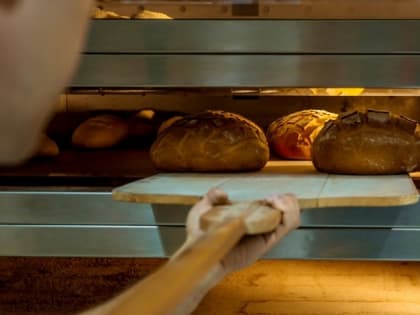 В Кургане появятся социальная мини-пекарня и школа зооволонтерства