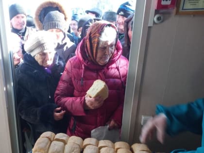 В «Сквере Милосердия» Кургана с наступлением весны выросло количество подопечных