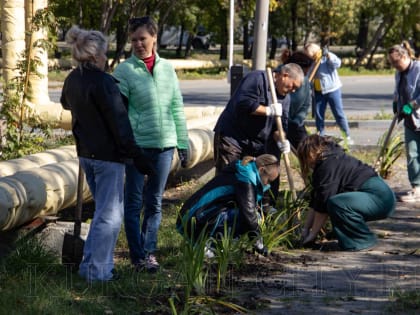 Благоустройство Кургана: высадка цветов и деревьев у ДК им. Горького