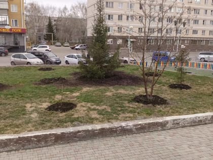 Весна – время наводить порядок и чистоту. Городская Дирекция парков и скверов ежедневно заботится об общественных территориях Кургана