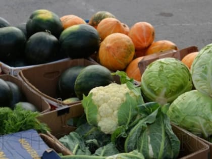 Курганцев приглашают на Александровскую ярмарку