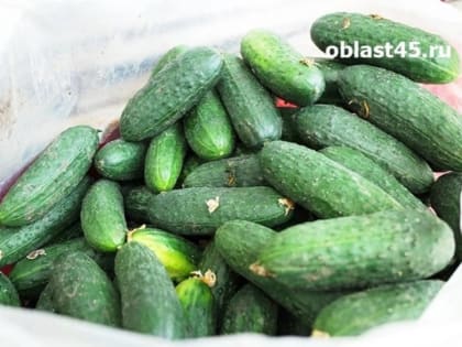 В Курганской области резко выросла стоимость огурцов
