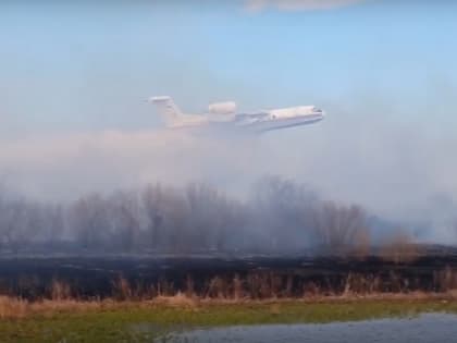 В Курганской области защищают от лесного пожара три поселка в Варгашинском округе