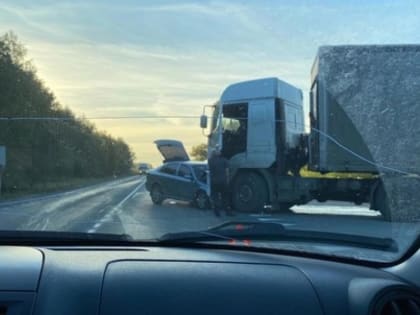 В Курганской области на федеральной трассе грузовик «поспорил» со «Шкодой»