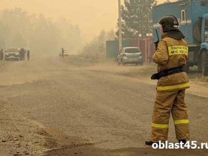 В Курганской области пожарные спасли «Островок»