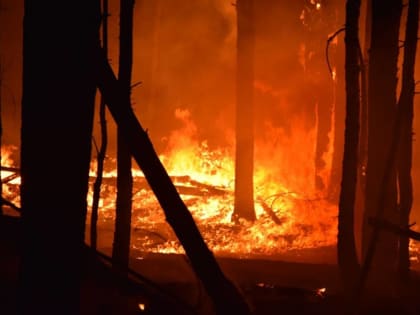 Работы по дотушиванию и окарауливанию пожаров продолжаются в ночные часы