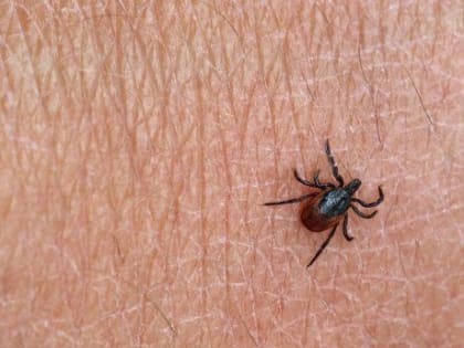 Напоминалка