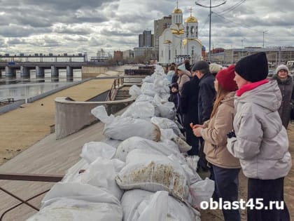 Следить за уровнем Тобола в Кургане в онлайн-режиме теперь можно с двух ракурсов