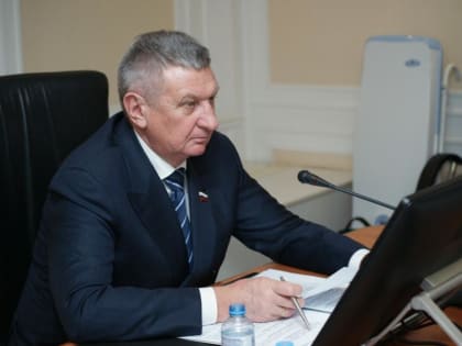 Курганский сенатор предложил роботизировать промышленность в ОПК