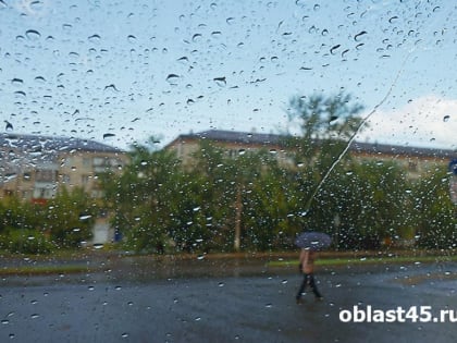 Курганцам пообещали дождливую неделю