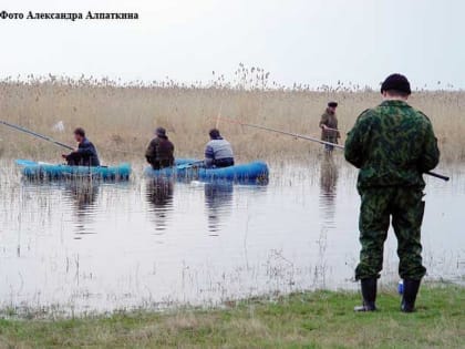 В Курганской области прокуратура потребовала заблокировать 23 сайта с информацией о незаконных методах вылова рыбы