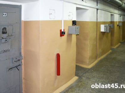 Жительницу Шадринска, которую обвиняют во взятках приставу, арестовали