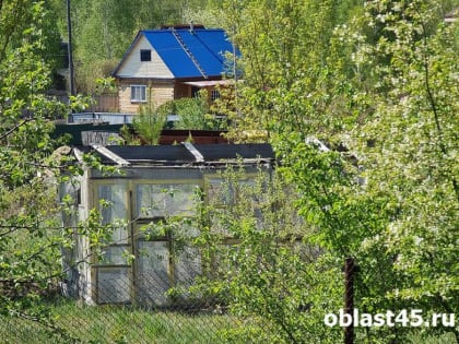 Полицейские изъяли 300 граммов каннабиса в Щучье