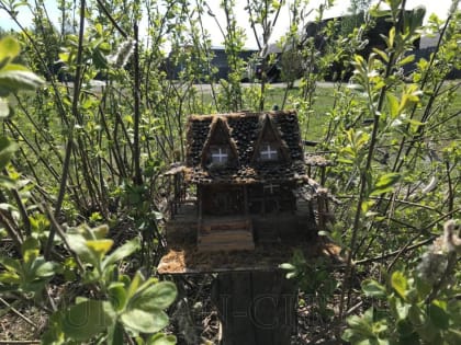 Подведены итоги конкурса «Весенний месячник чистоты и благоустройства» среди ТОС