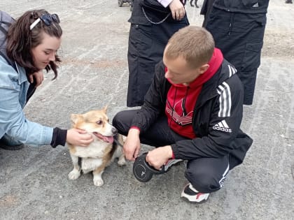 В Центральном парке культуры и отдыха состоялся фестиваль «Дай лапу»