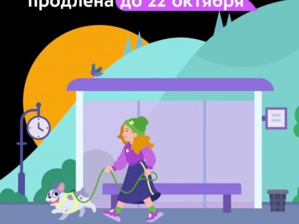 Почти 29 тысяч курганских школьников уже приняли участие в онлайн-олимпиаде «Безопасные дороги»