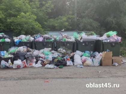 «Обрастаем отходами»: у курганцев не вывозят мусор