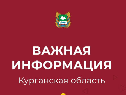 Новогодние каникулы у школьников Курганской области продлены по 10 января!