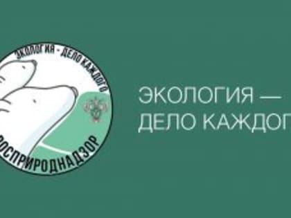 Школьникам Кургана расскажут, как стать экологами на онлайн-курсе