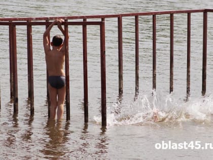 Жара в Кургане побила очередной рекорд