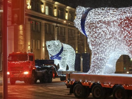 Семья белых медведей снова в Кургане