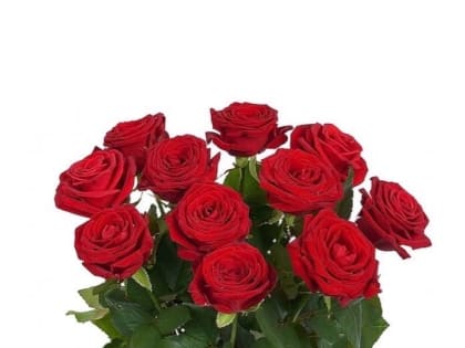 Сегодня отмечает юбилей Демина Наталья Владимировна  –  врач-рентгенолог ГБУ Курганская поликлиника №1»