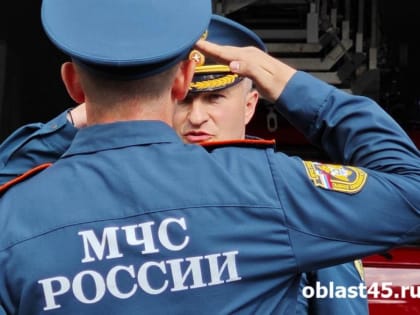 Кому и какие награды вручил министр Куренков в Зауралье?