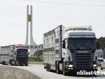 Сотни тонн мусора вывезли с автотрасс Курганской области за год