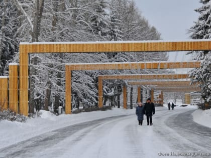 Курганцам рассказали, почему нужно больше гулять