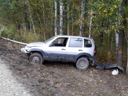 В Курганской области автомобиль опрокинулся на трассе и врезался в дерево