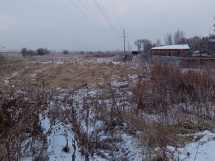 В прошлом году в Кургане создали более 565 км противопожарных полос