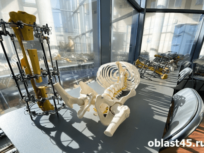 Президент РФ присвоил почётное звание завотделением Центра Илизарова в Кургане