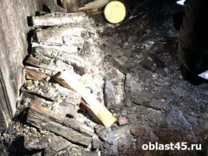 Зауральские полицейские спасли из огня две семьи