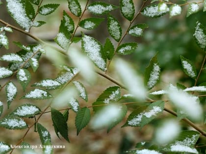 Пять природных бед Зауралья