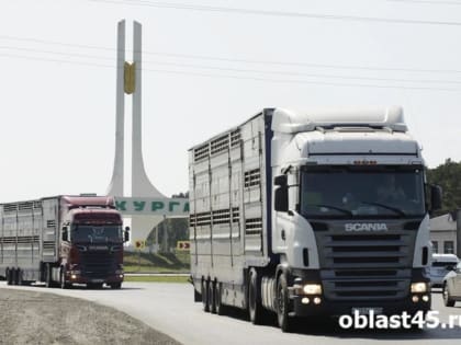 В аварии с большегрузом на трассе Курганской области погибли женщины