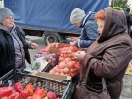 Зауральские фермеры привезли свои лучшие товары в Курган