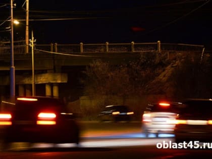 В Курганской области пьяным и нелегальным таксистам вставили палки в колёса