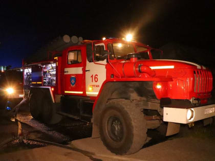 В Кургане из пожара спасли домашних питомцев: кошку, собаку и морскую свинку