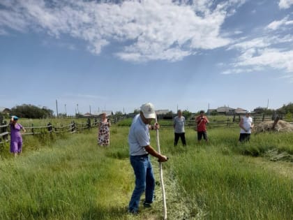 Ситуация с кормами даёт повод для беспокойства