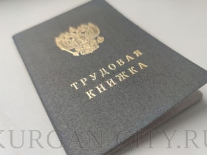 В Курганской области продолжается работа по снижению неформальной занятости и легализации трудовых отношений
