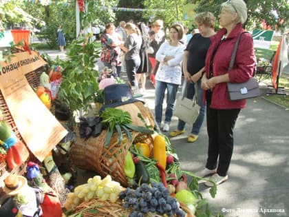 В Кургане подвели итоги конкурса ТОС, состоявшегося в День города