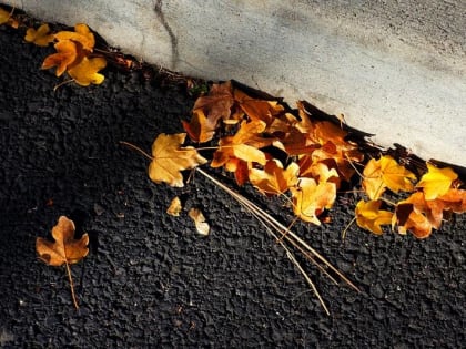В Зауралье работы по дорожному нацпроекту выходят на финишную прямую