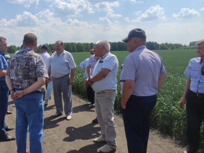 На заседании Совета АККОР рассмотрены актуальные вопросы развития АПК