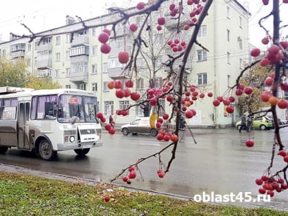 Для жителей отдалённых микрорайонов Кургана в день выборов пустят дополнительные автобусы