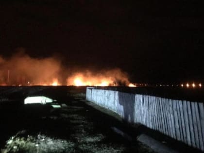 В Каргаполье потушили природный пожар