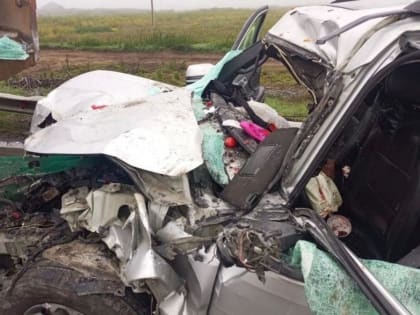 В Зауралье в аварии с грузовиком пострадали трое детей и погибла женщина